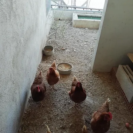 Casa Mas Del Vedell Сasa de vacaciones